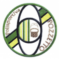 logo POZZETTO