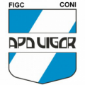 logo VIGOR