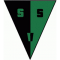 logo VILLANOVESE