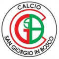 logo SAN GIORGIO IN BOSCO