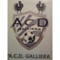 logo GALLIERA