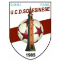 logo SOLESINESE