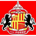 logo FOSSO