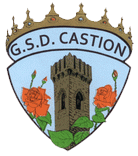 logo CASTION